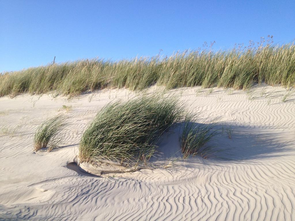 Hotel Twilling Sankt Peter-Ording Eksteriør bilde